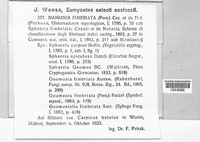 Image Associated With the Occurence